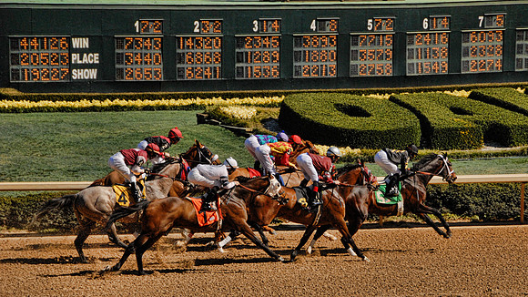 Win Place or Show