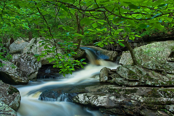 Down On Cedar Creek