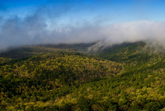 Flatside Wilderness New Spring