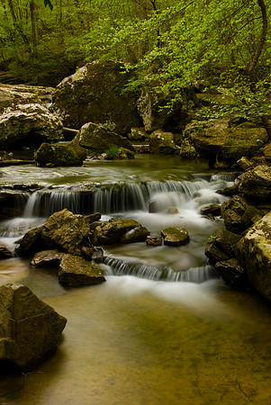 Spring on Smith Creek