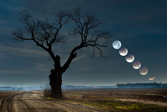 2018 Lunar Eclipse over Atkins Tree