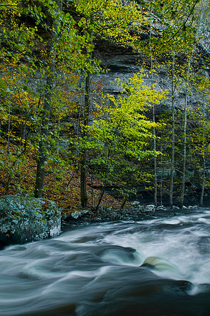 Yellow on Cedar Creek