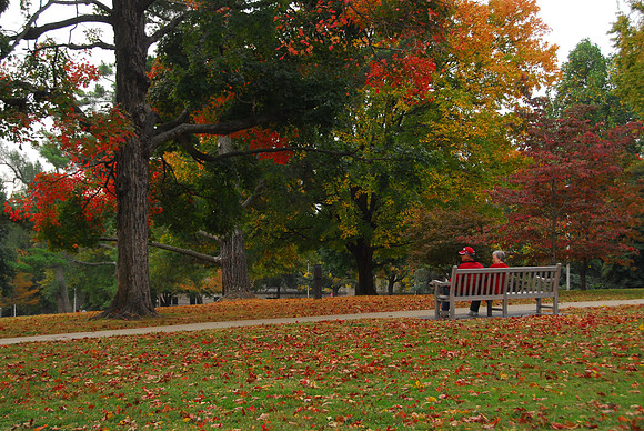 The Lawn at Ole Main