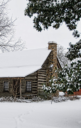 The Pioneer Cabin